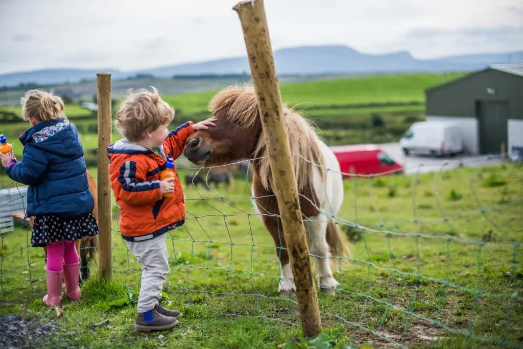 Best Activities For Kids in Ireland